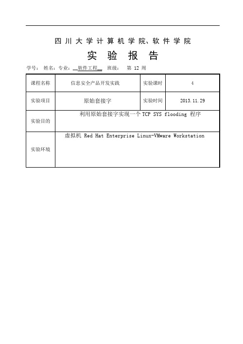 信息安全实践第十一次作业 原始套接字、解析