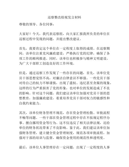 巡察整改检视发言材料