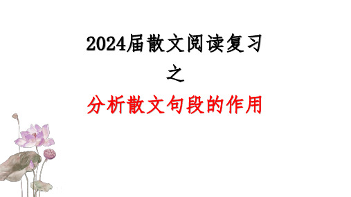 2024届高考散文阅读复习之分析散文句段的作用