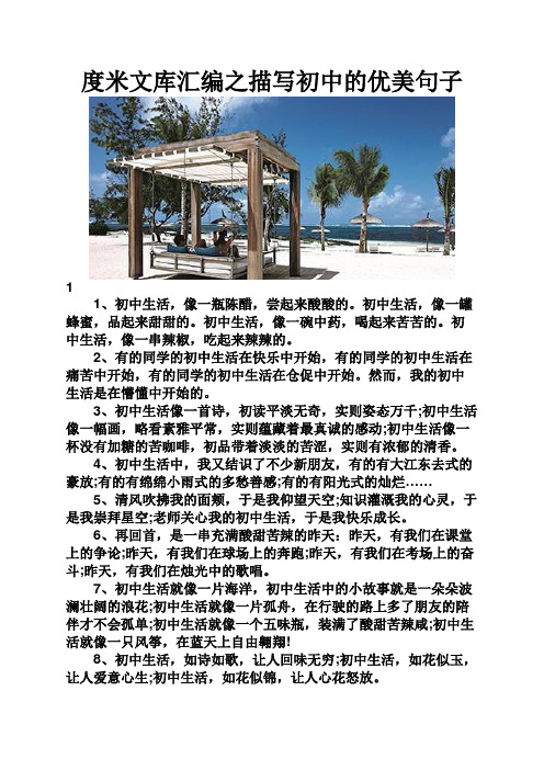 度米文库汇编之描写初中的优美句子