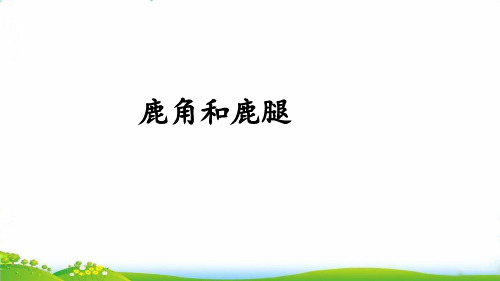 部编版小学语文《鹿角和鹿腿》PPT-课件