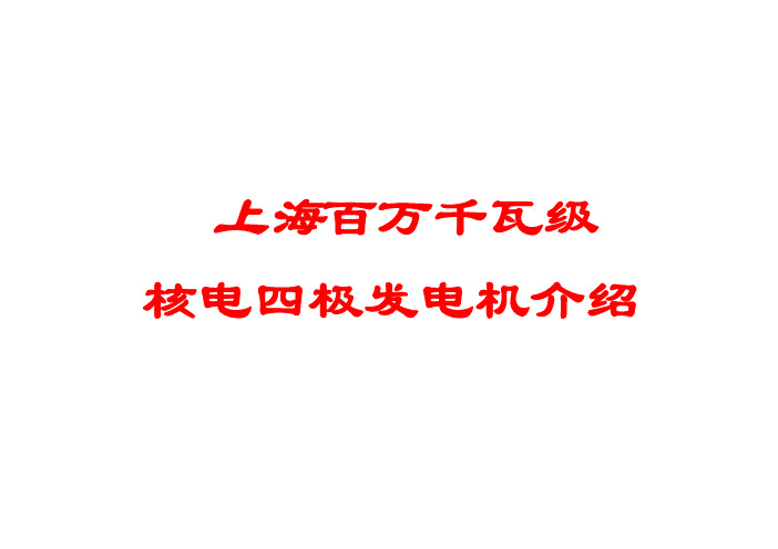 上海百万千万级核电四级发电机介绍