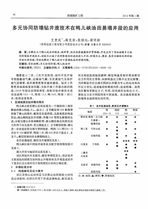 多元协同防塌钻井液技术在鸭儿峡油田易塌井段的应用