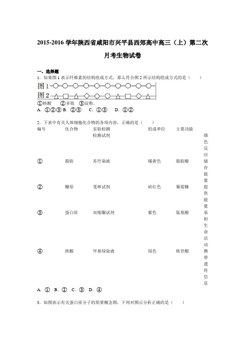 陕西省咸阳市兴平县西郊高中2015-2016学年高三上学期第二次月考生物试卷Word版含解析