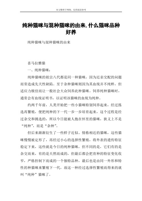 纯种猫咪与混种猫咪的由来,什么猫咪品种好养