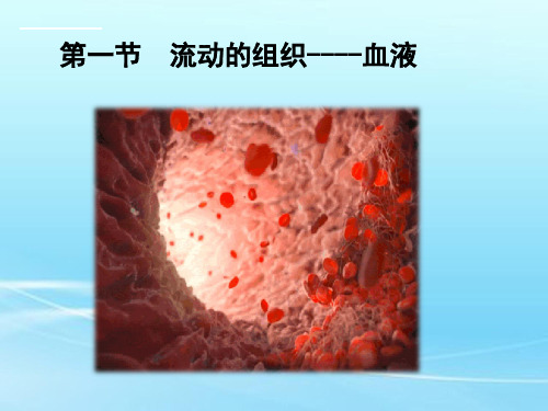 人教版生物《流动的组织——血液》ppt课件1