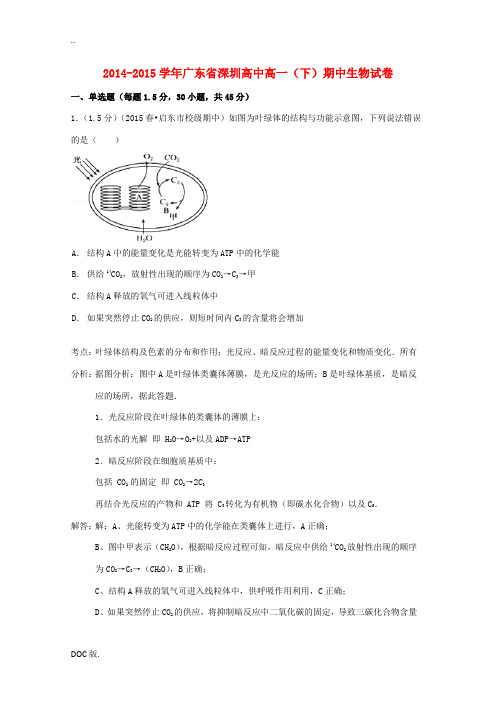 高中高一生物下学期期中试卷(含解析)-人教版高一全册生物试题