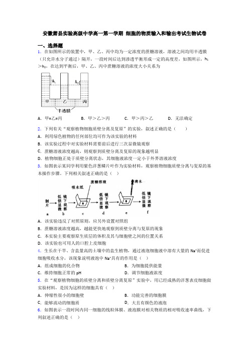 安徽萧县实验高级中学高一第一学期 细胞的物质输入和输出考试生物试卷