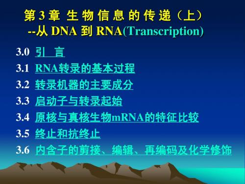 第3章  生物信息的传递(上)-转录