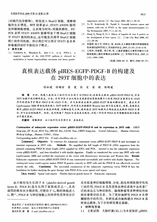 真核表达载体pIRES—EGFP—PDGF—B的构建及在293T细胞中的表达