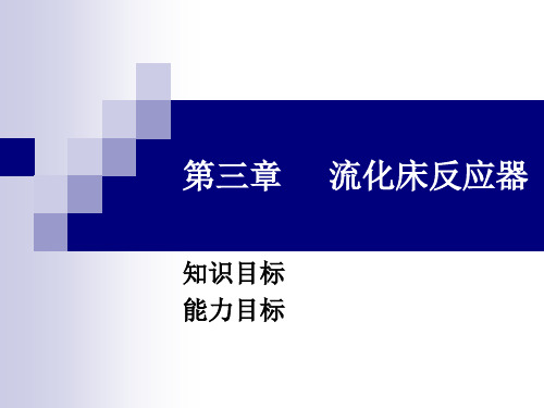 第三章 流化床反应技术