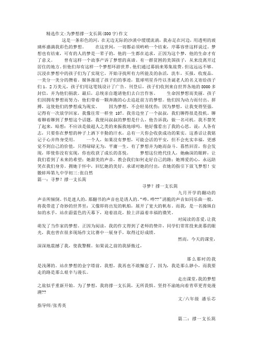 为梦想撑一支长篙(800字)作文