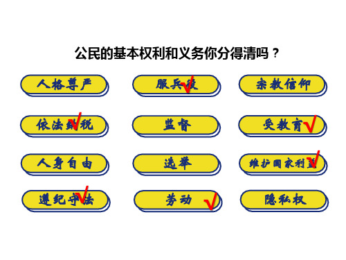 人教版八下道德与法治依法履行义务2