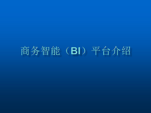 BI介绍