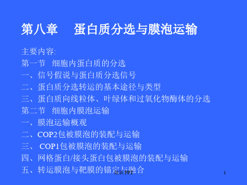 细胞内蛋白质的分选与膜泡运输-细胞生物学精品课件