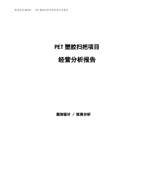 PET塑胶扫把项目经营分析报告(项目总结分析)