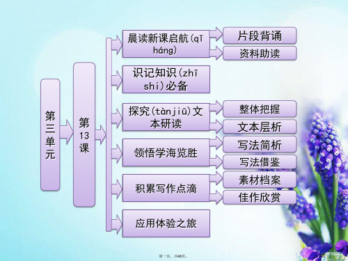 高中语文 第三单元 第13课 之声精品课件 粤教版必修3