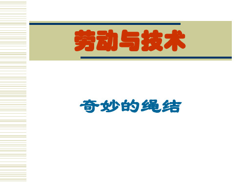 小学综合实践活动 奇妙的绳结