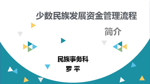 少数民族发展资金管理流程汇报(初)