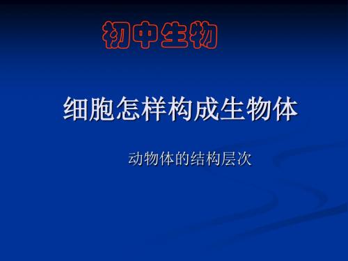 九年级生物动物体的结构层次PPT课件