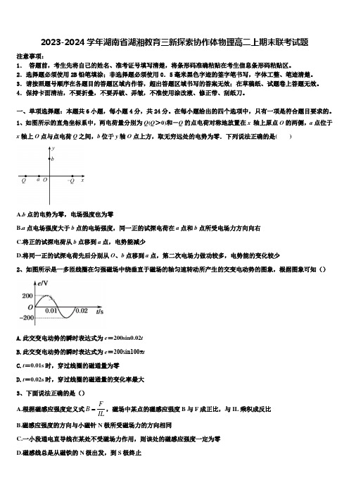 2023-2024学年湖南省湖湘教育三新探索协作体物理高二上期末联考试题含解析