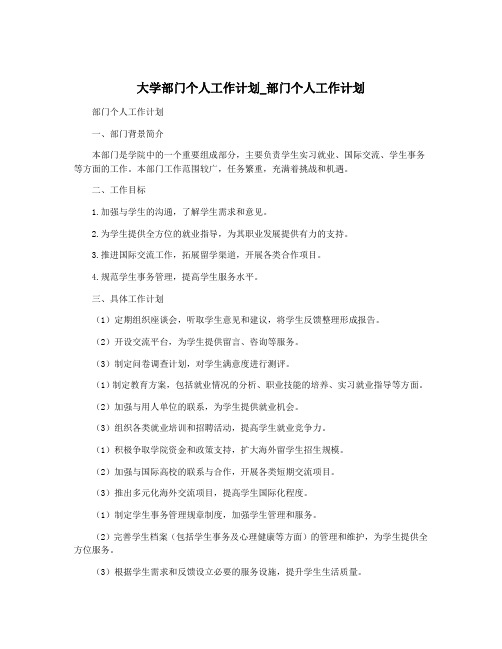 大学部门个人工作计划_部门个人工作计划