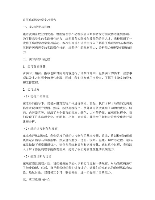 兽医病理学教学实习报告