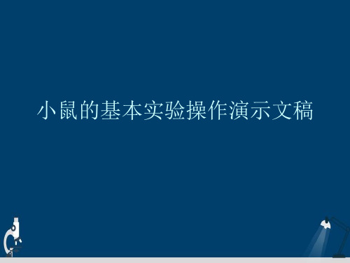 小鼠的基本实验操作演示文稿