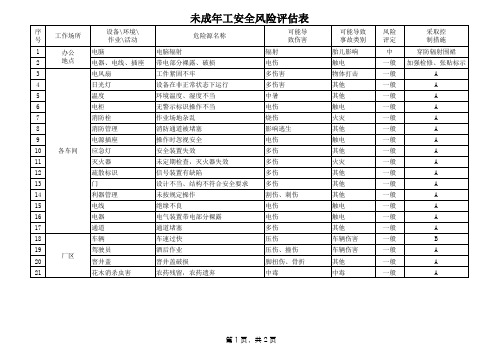 B.11.2 I 未成年工安全风险评估  危险源汇总表