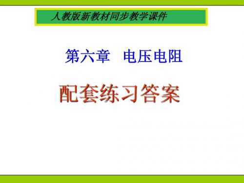 人教配套练习答案电压