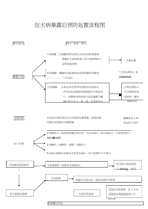 狂犬病暴露后预防处置流程图(新.)