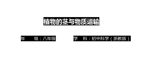 植物的茎与物质运输PPT课件(初中科学)