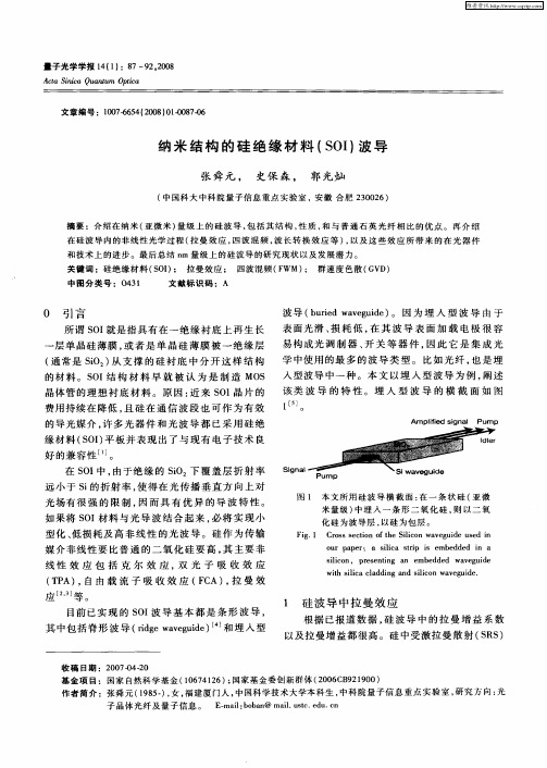 纳米结构的硅绝缘材料(SOI)波导