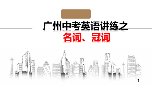 广东省广州中考英语讲练之名词、冠词课件