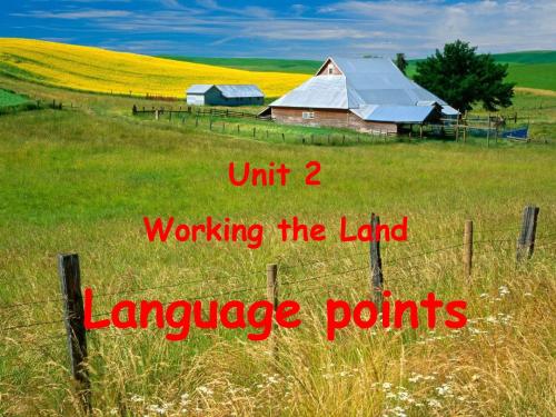 《languagepoints》课件十(21张PPT)(人教版必修4)