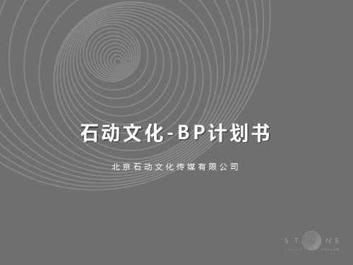 石动文化传媒影视游戏文学动画漫画等版权分享A轮BP商业计划书PDF30页.pdf