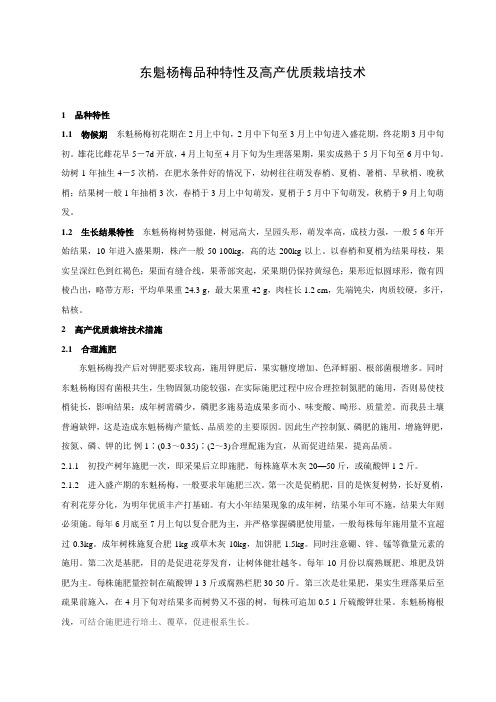 东魁杨梅品种特性及高产优质栽培技术