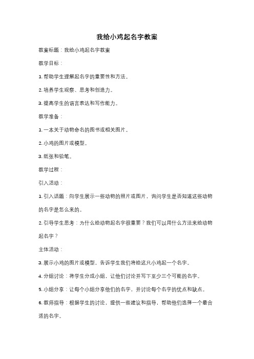 我给小鸡起名字教案