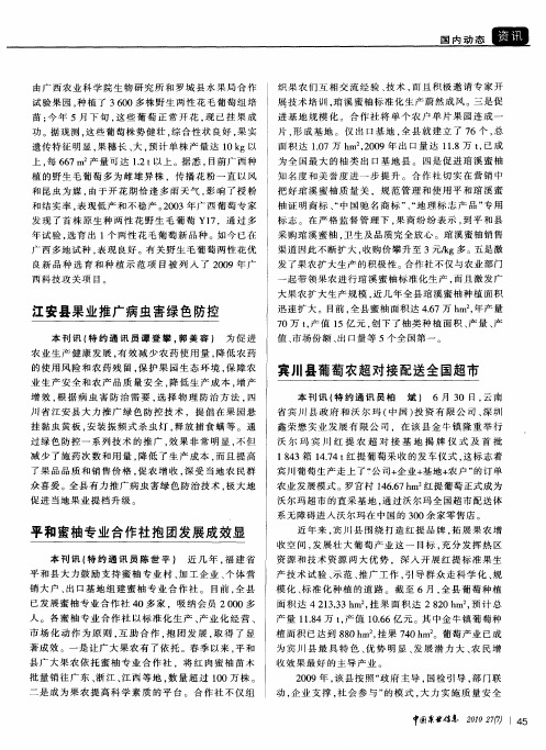 宾川县葡萄农超对接配送全国超市