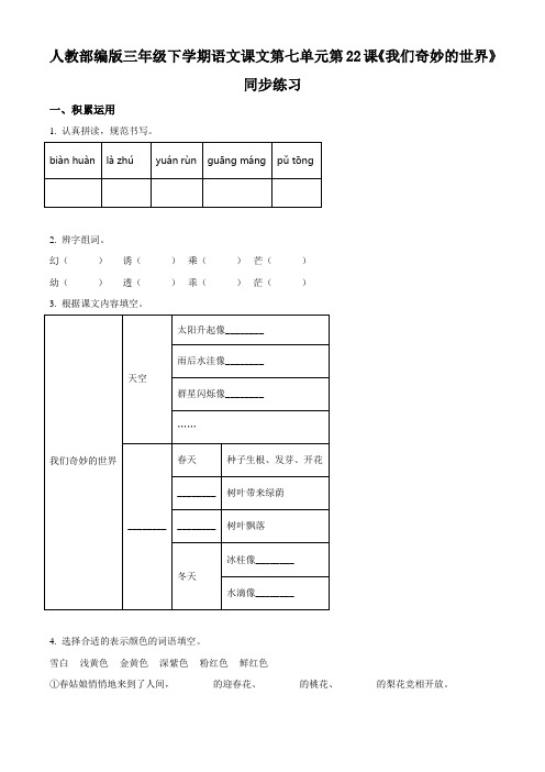 部编版语文三年级下册22 我们奇妙的世界练习卷