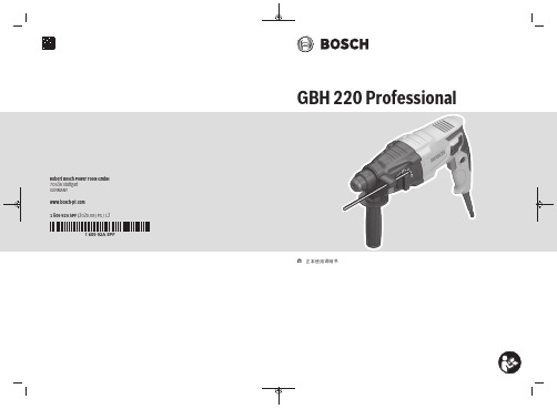 GBH 220 Professional 说明书