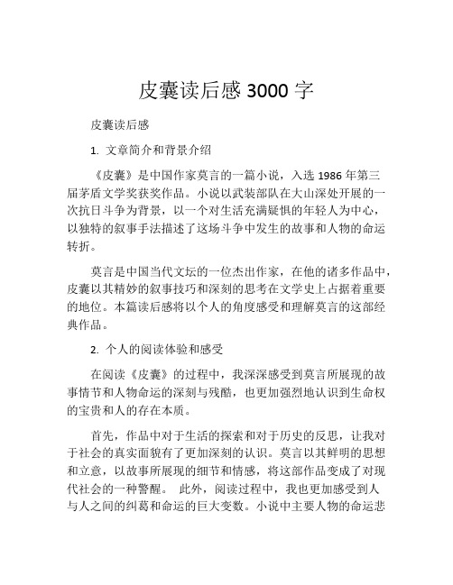 皮囊读后感3000字