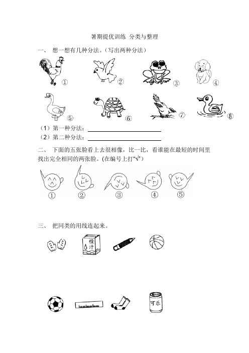 暑期提优训练—分类与整理(试题)      人教版一年级下册数学  