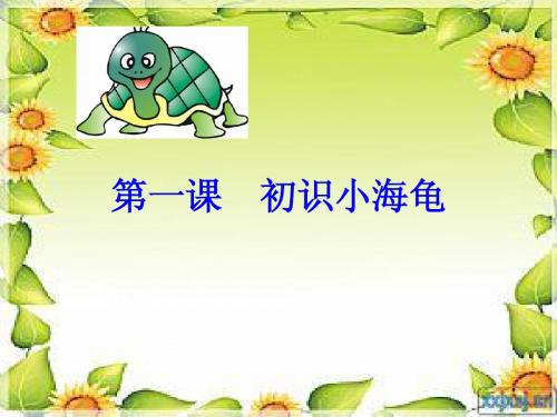 初识小海龟