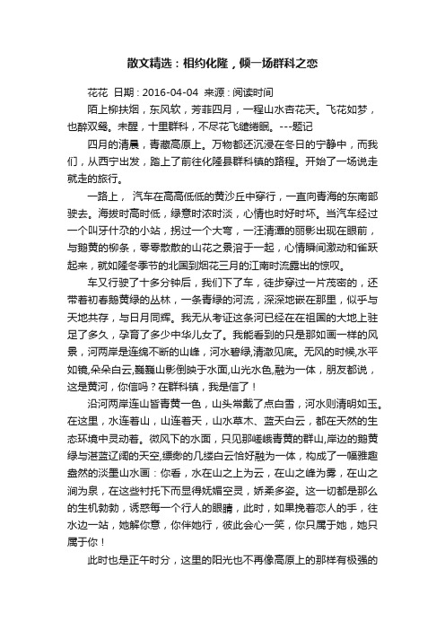 散文精选：相约化隆，倾一场群科之恋