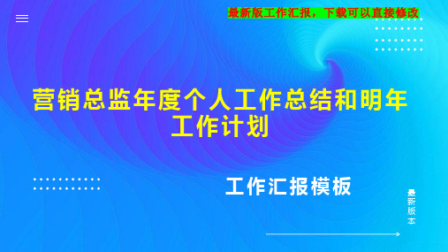 营销总监年度个人工作总结和明年工作计划PPT模板下载