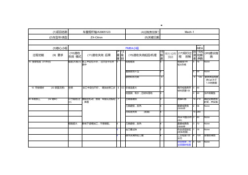 FMEA经典案例-王老五的第999次约会