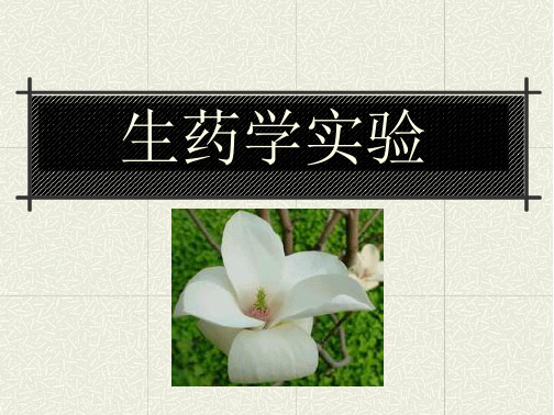 石大生药学实验课件