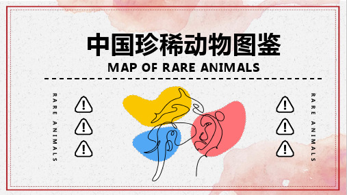 中国珍稀动物图鉴简介培训实用资料ppt