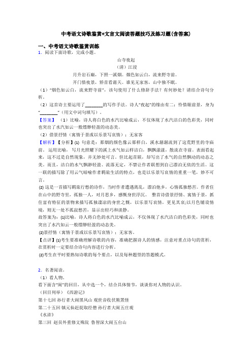 中考语文诗歌鉴赏+文言文阅读答题技巧及练习题(含答案)